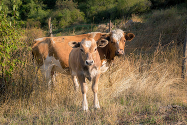 Similar image 21660544