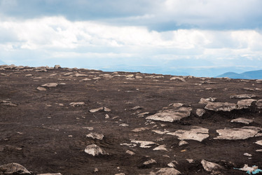 Similar image 21660549