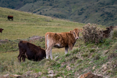 Similar image 21660552