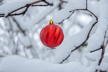 Similar image 21662633