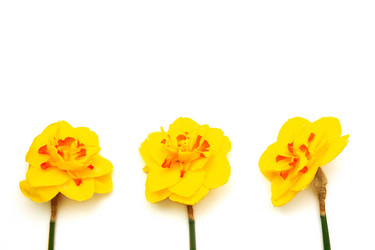 Similar image 21662635