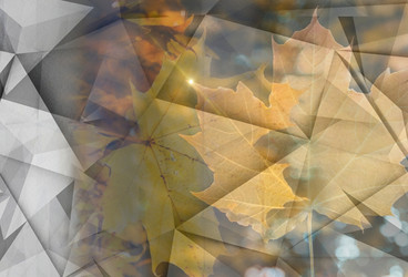 Similar image 21660529