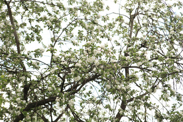 Similar image 21661971