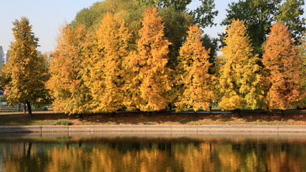 Similar image 21661987