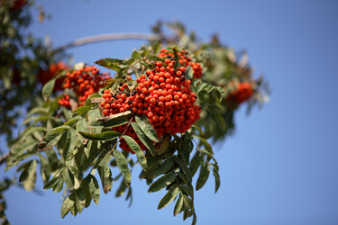 Similar image 21661994