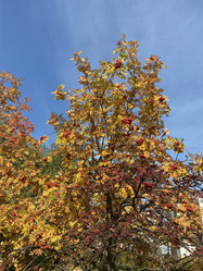 Similar image 21661999