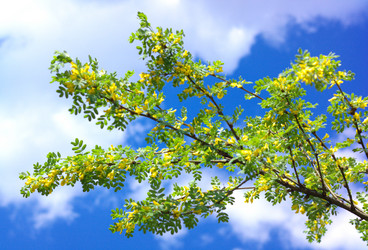 Similar image 21662007