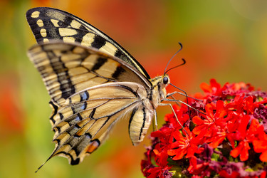 Similar image 21661173