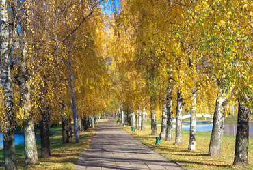 Similar image 21662022