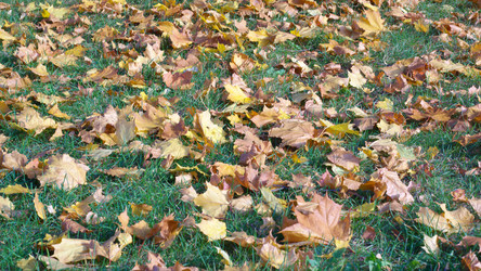 Similar image 21662025