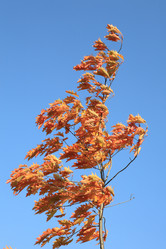 Similar image 21662028