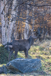 Similar image 21661178