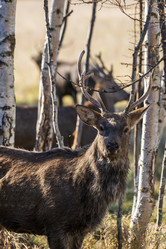 Similar image 21661179