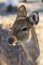 Similar image 21661182