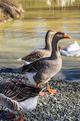 Similar image 21662617