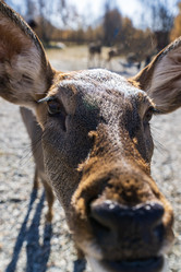 Similar image 21661184