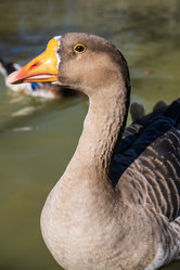 Similar image 21662618