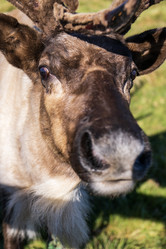 Similar image 21662619