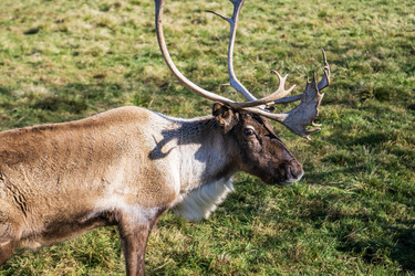 Similar image 21662620