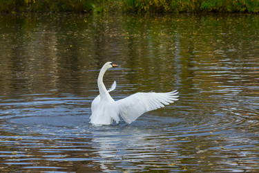 Similar image 21662698