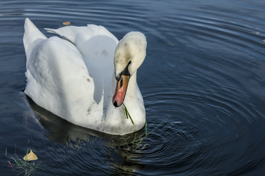 Similar image 21662699