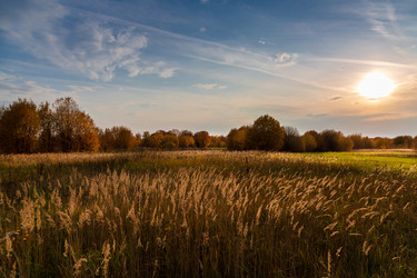 Similar image 21662700