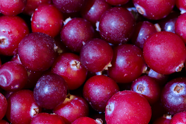 Similar image 21662711