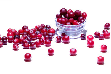 Similar image 21662712