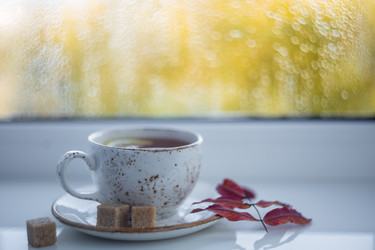 Similar image 21662715