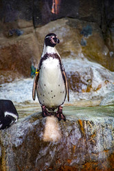 Similar image 21662646