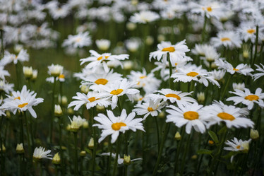 Similar image 21662717