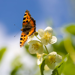 Similar image 21662719