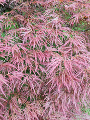 Similar image 21662727