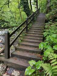 Similar image 21662735