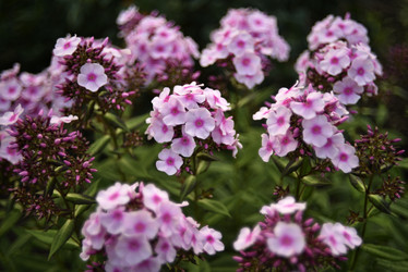 Similar image 21662741