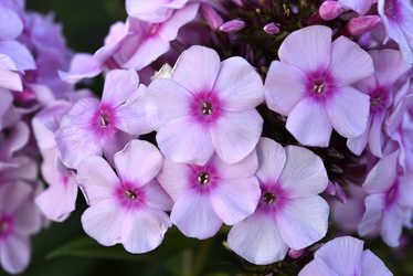 Similar image 21662742