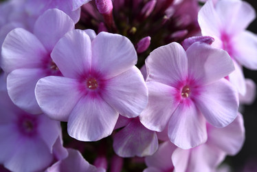 Similar image 21662744