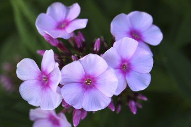 Similar image 21662745