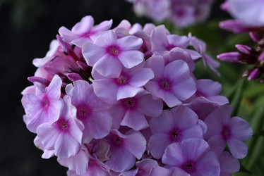 Similar image 21662746