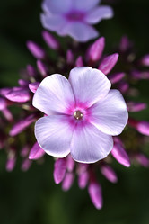 Similar image 21662839