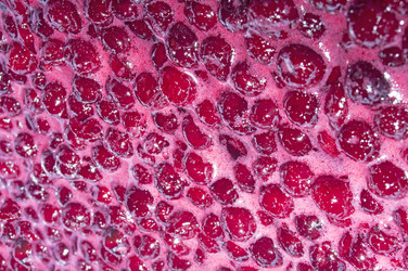 Similar image 21683276