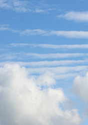 Similar image 21683288