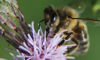 Similar image 21683290