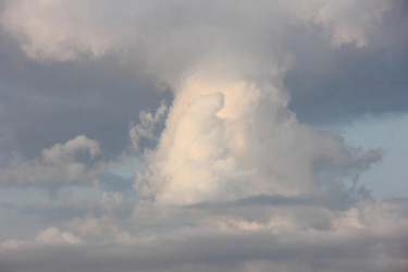 Similar image 21683291