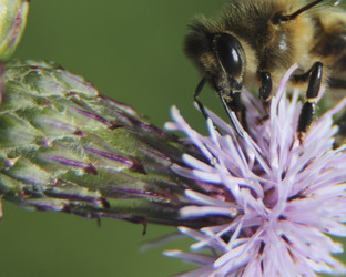 Similar image 21683292