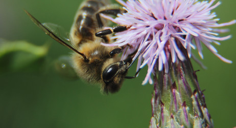 Similar image 21683293