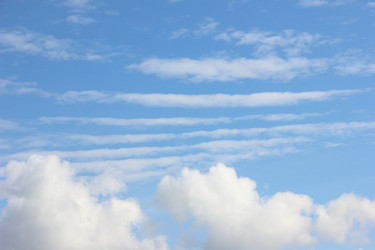 Similar image 21683296