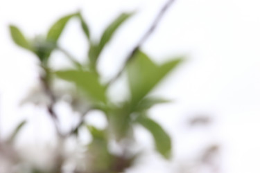 Similar image 21683443