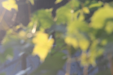 Similar image 21683444