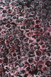 Similar image 21683447